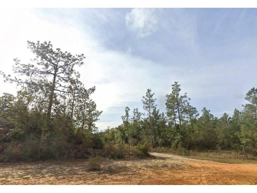 Kings Drive Chipley FL 32428 O6327789 image1