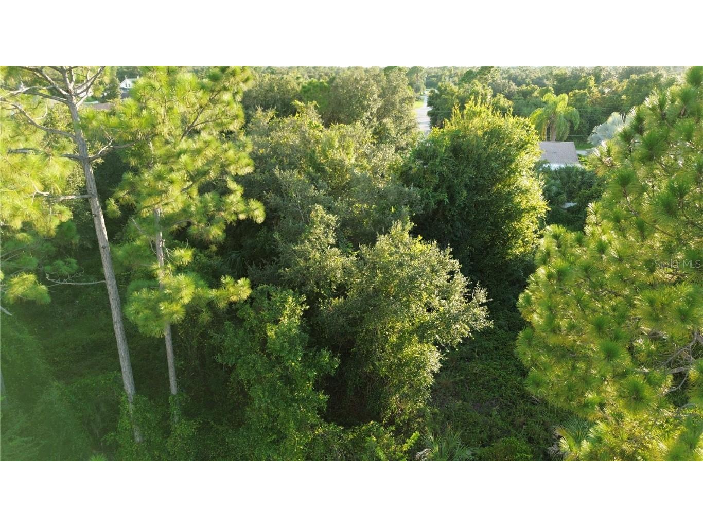 Kingsman Avenue North Port FL 34288 C7498421 image2