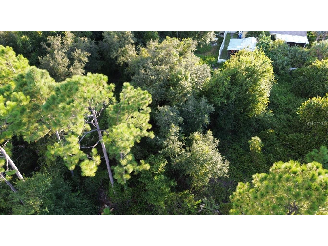 Kingsman Avenue North Port FL 34288 C7498421 image3