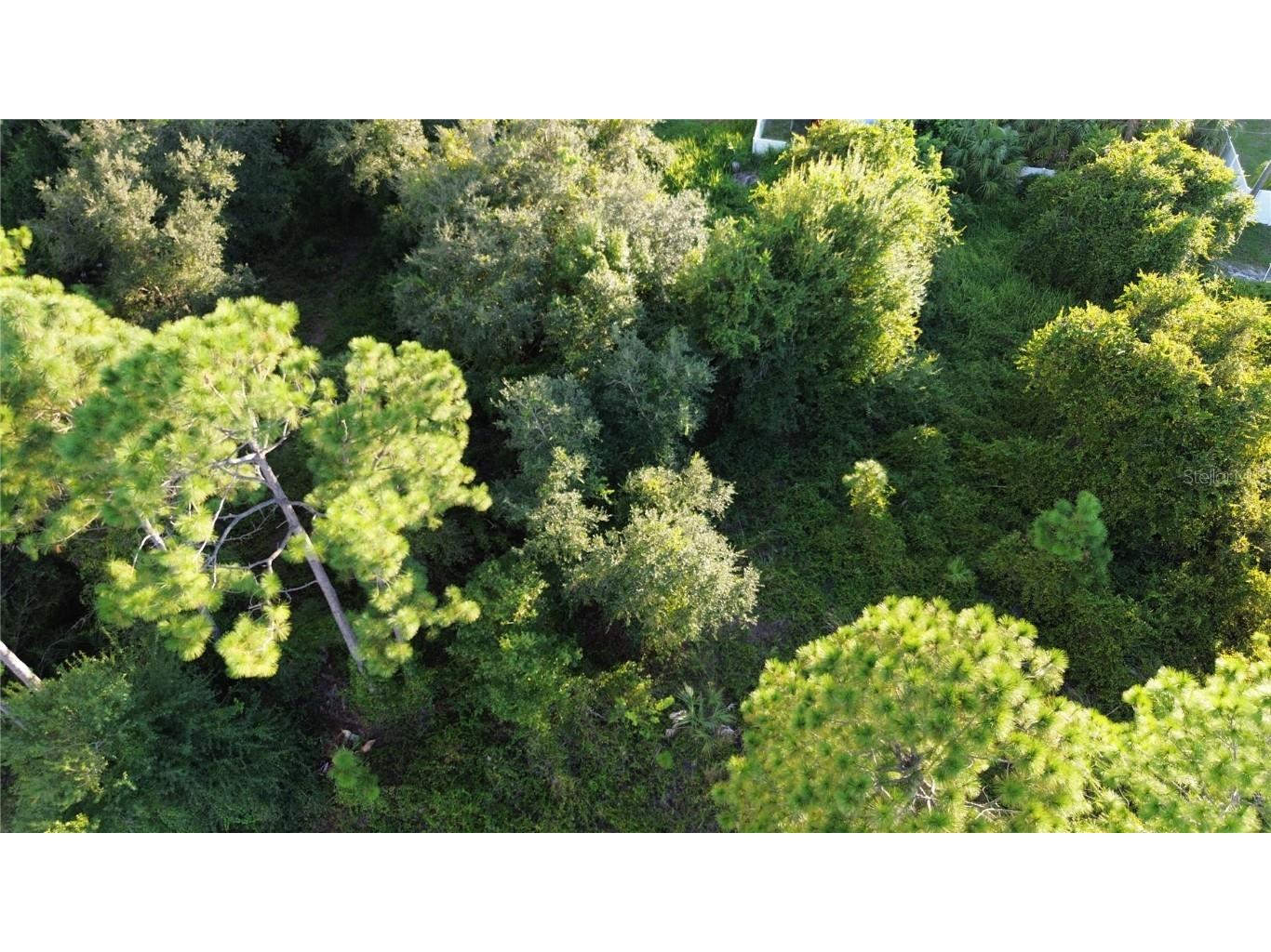 Kingsman Avenue North Port FL 34288 C7498421 image5