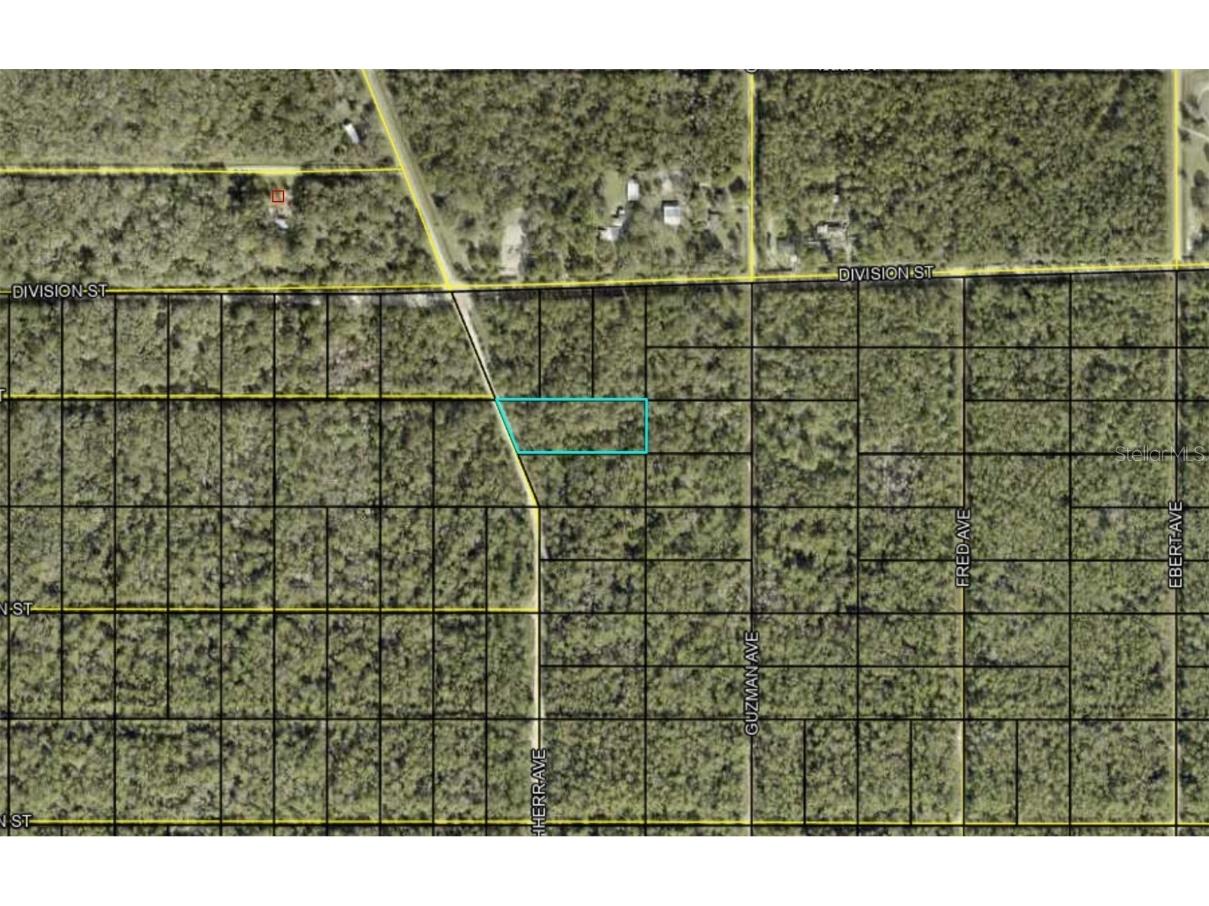 Kirchherr Avenue Hastings FL 32145 FC295933 image1