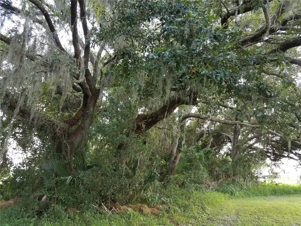  Kissimmee FL 34744 O6086906 image12