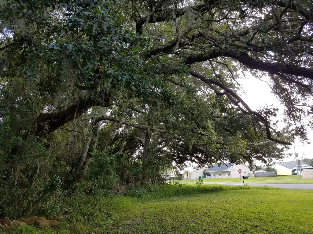  Kissimmee FL 34744 O6086906 image13