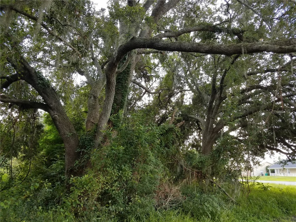  Kissimmee FL 34744 O6086906 image14