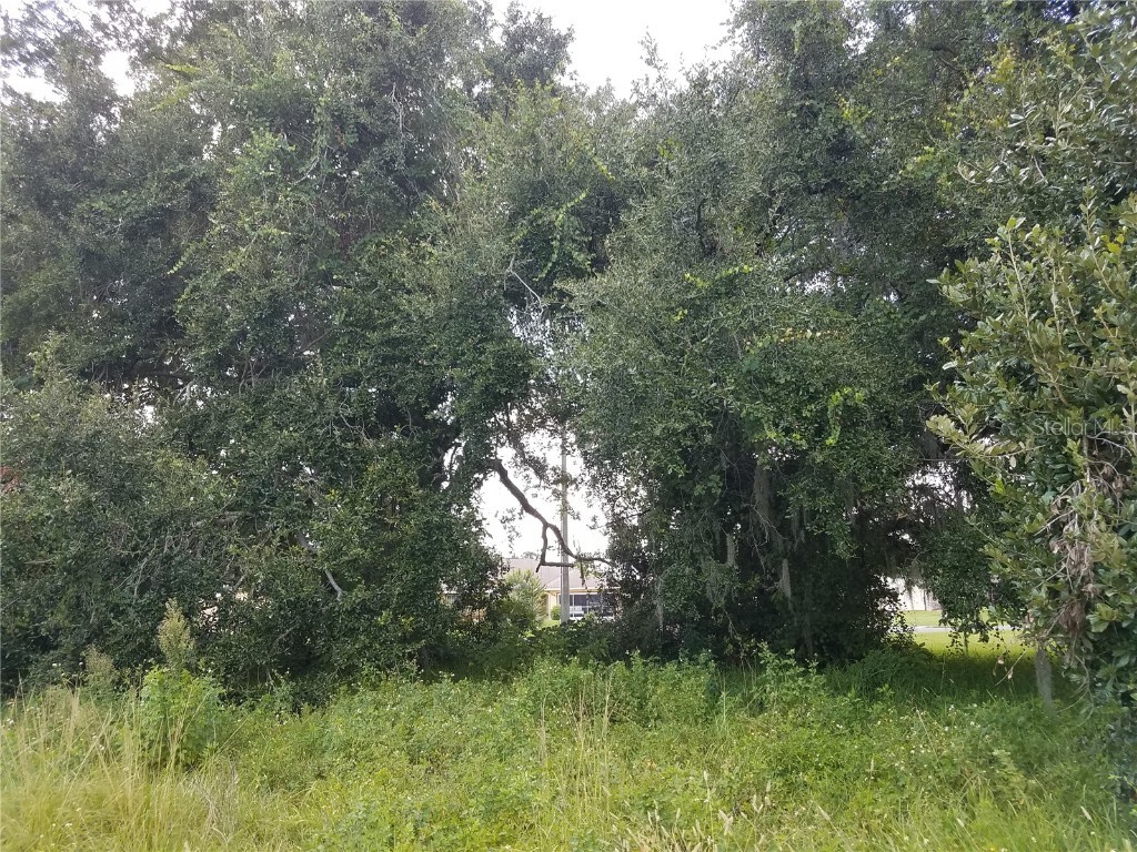  Kissimmee FL 34744 O6086906 image17