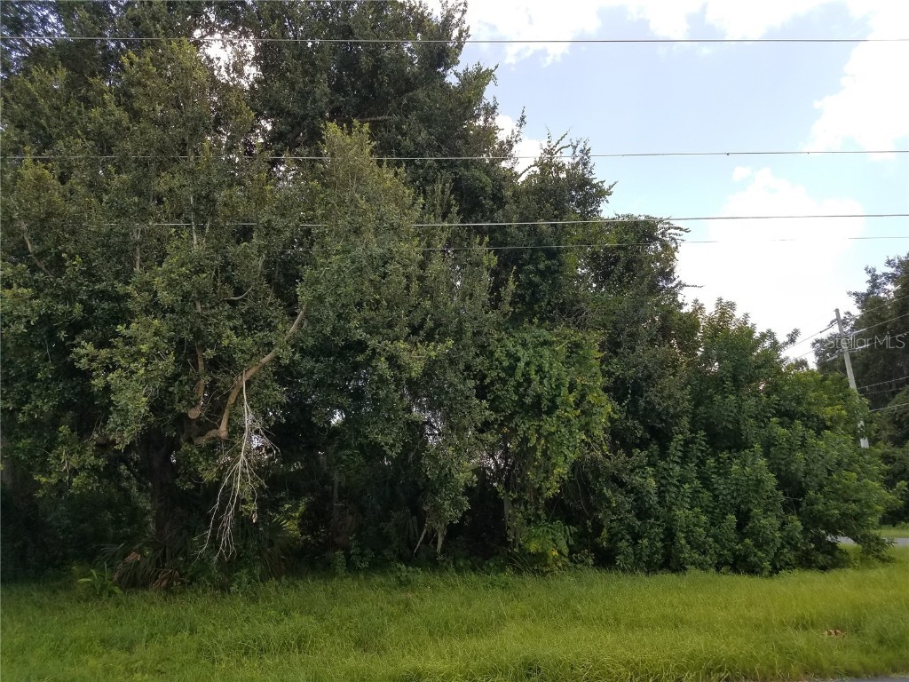  Kissimmee FL 34744 O6086906 image5