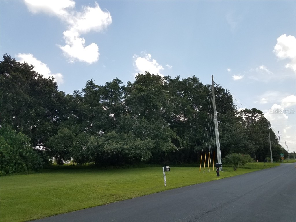  Kissimmee FL 34744 O6086906 image9