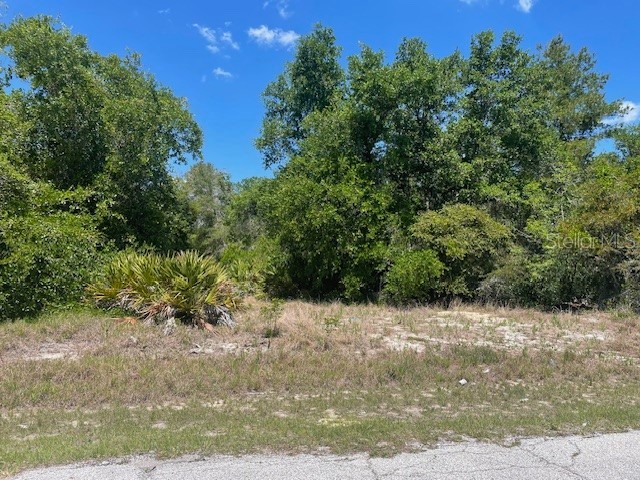 Kissimmee Way Poinciana FL 34759 L4961205 image1