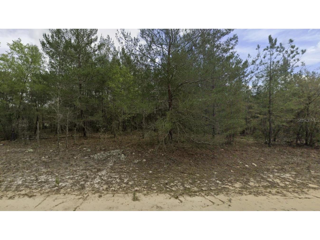 Kitty Interlachen FL 32148 OK225016 image10