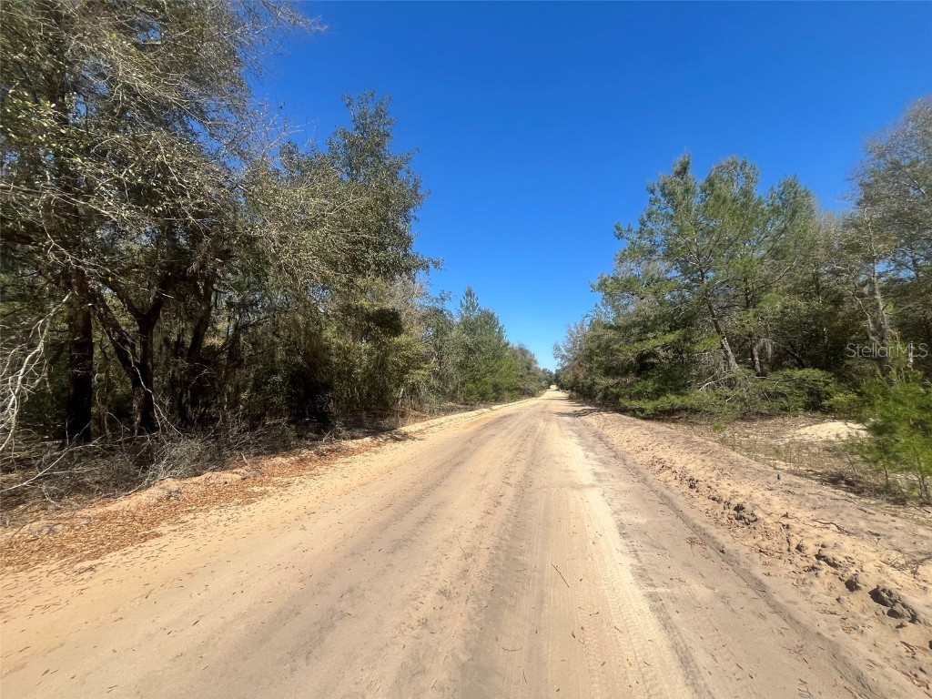 Kitty Interlachen FL 32148 OK225016 image11