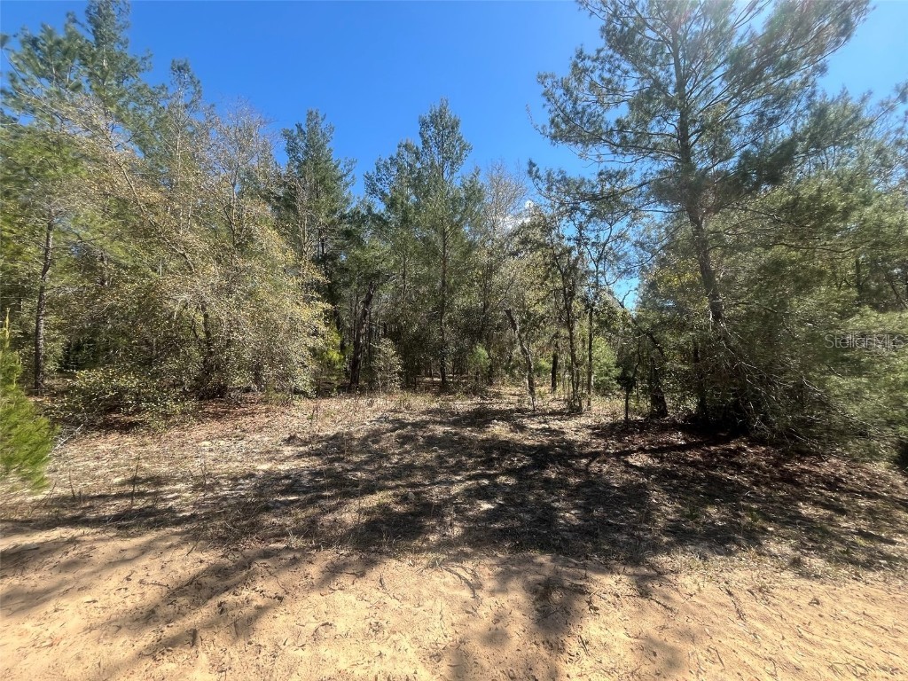 Kitty Interlachen FL 32148 OK225016 image5