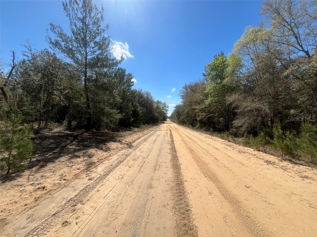 Kitty Interlachen FL 32148 OK225016 image7