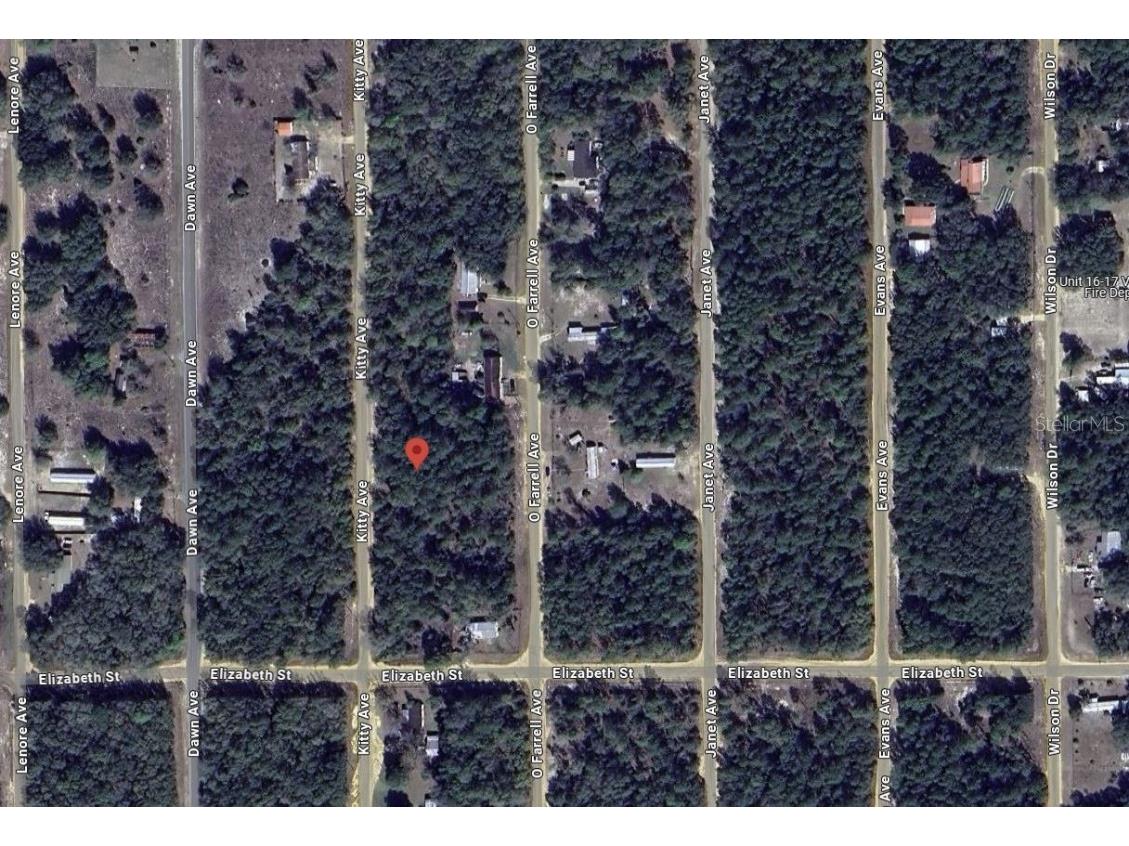 Kitty Interlachen FL 32148 OK225016 image8