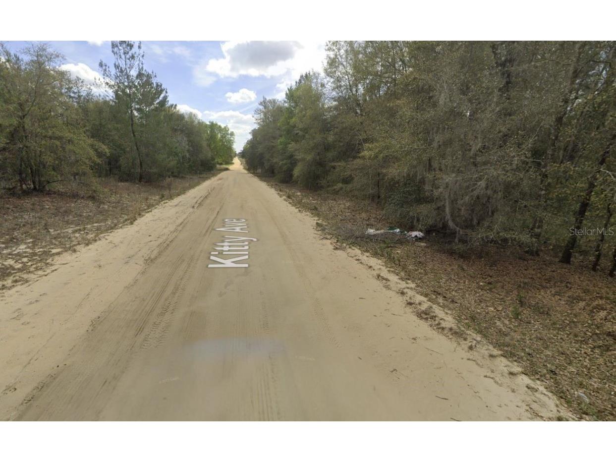 Kitty Interlachen FL 32148 OK225016 image9