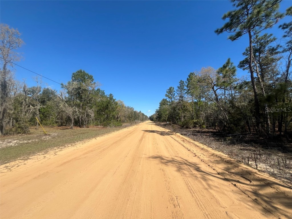 Kitty Interlachen FL 32148 OK225017 image2