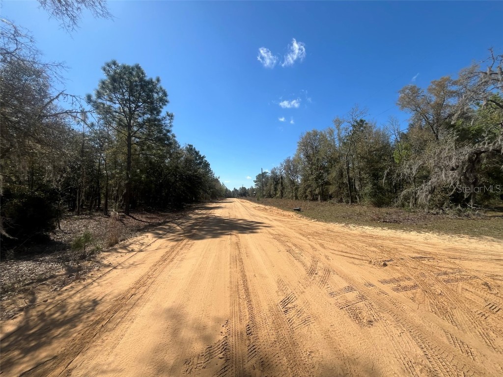 Kitty Interlachen FL 32148 OK225017 image3