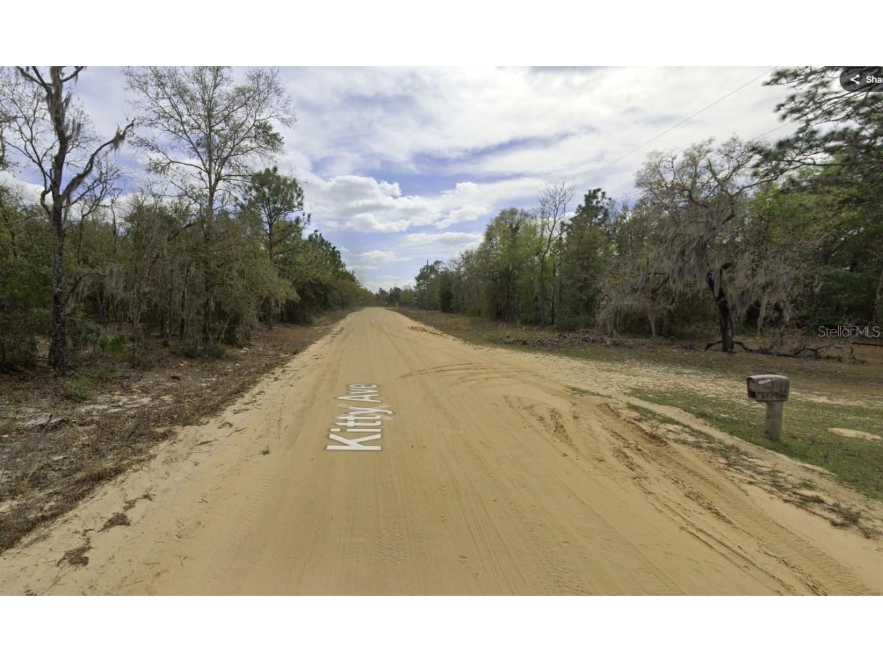 Kitty Interlachen FL 32148 OK225017 image7