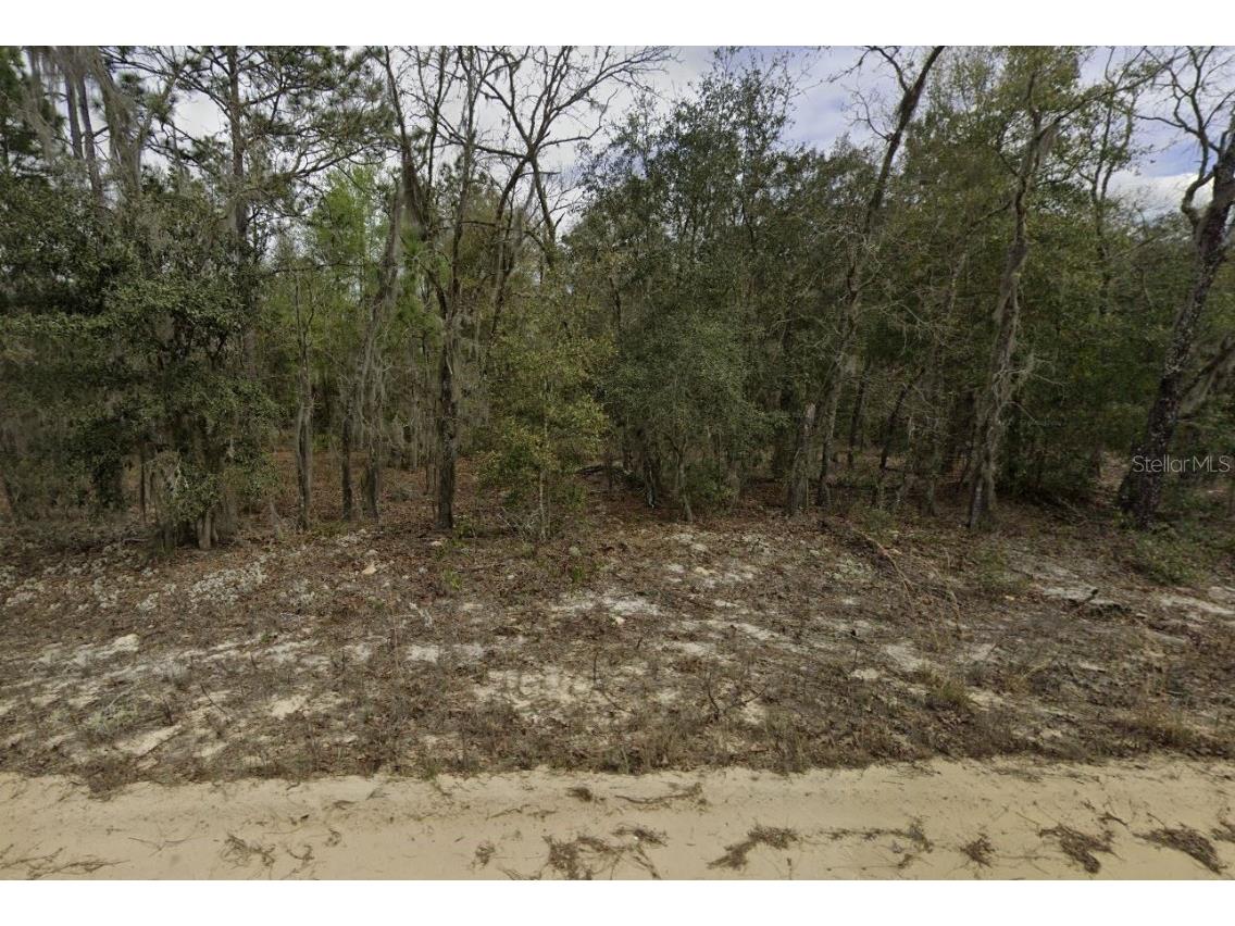 Kitty Interlachen FL 32148 OK225017 image8