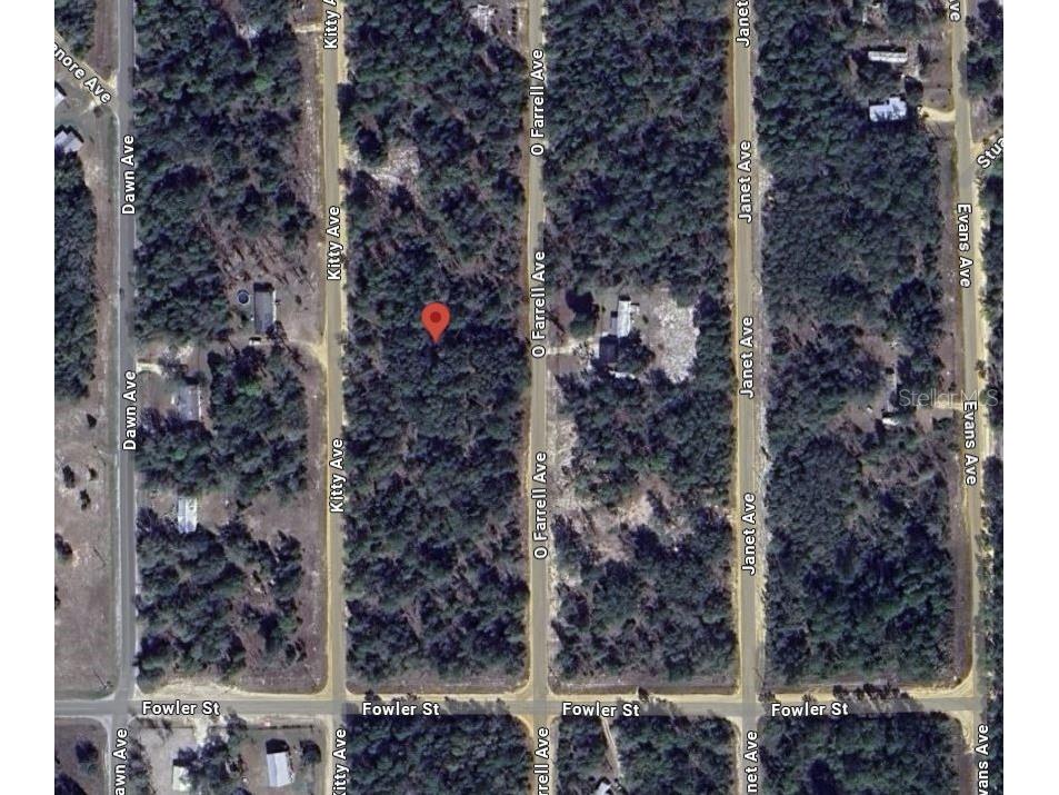 Kitty Interlachen FL 32148 OK225017 image9