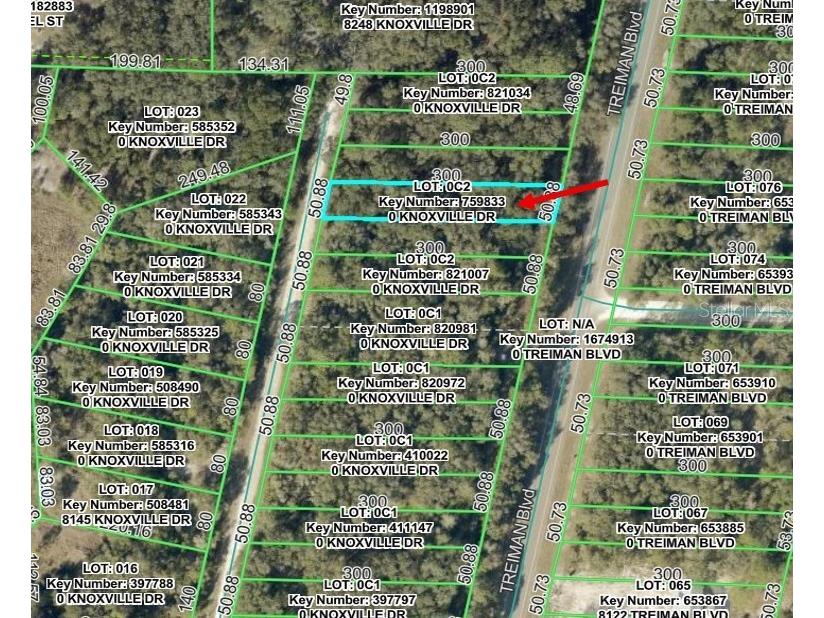 Knoxville Drive Webster FL 33597 W7885155 image1
