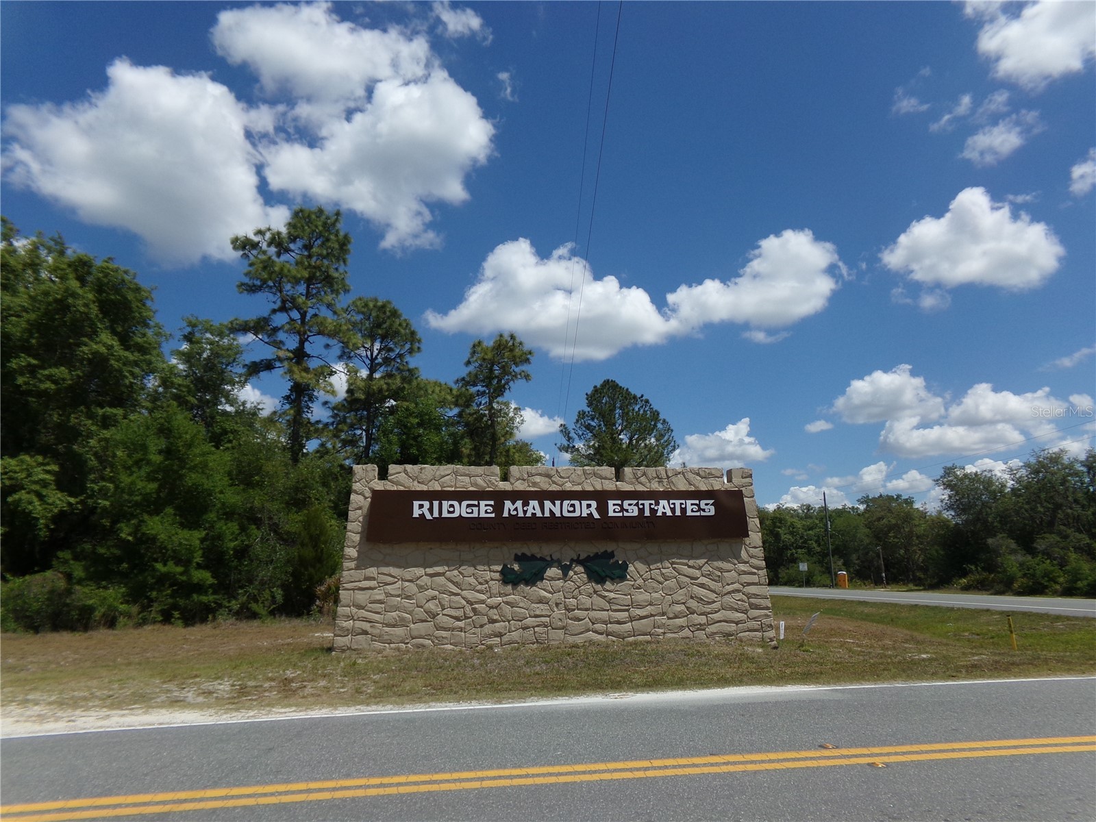 Knoxville Drive Webster FL 33597 W7885155 image5