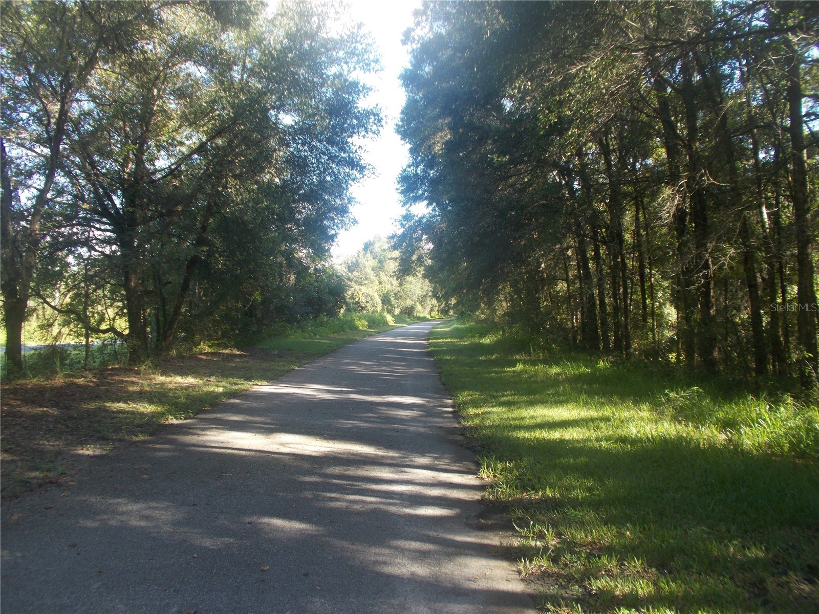 Knoxville Drive Webster FL 33597 W7885155 image8