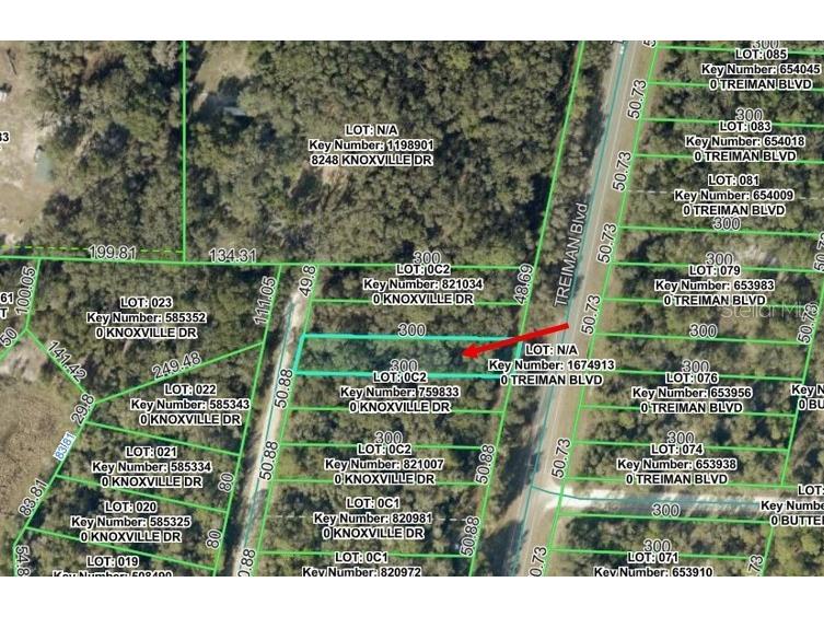 Knoxville Drive Webster FL 33597 W7885156 image1