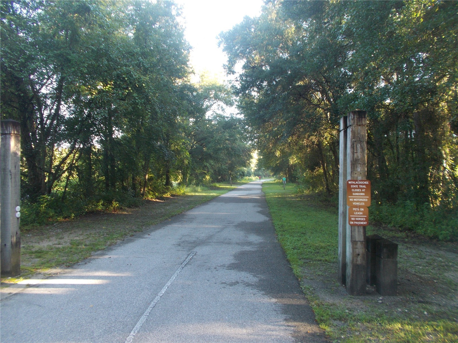 Knoxville Drive Webster FL 33597 W7885156 image10