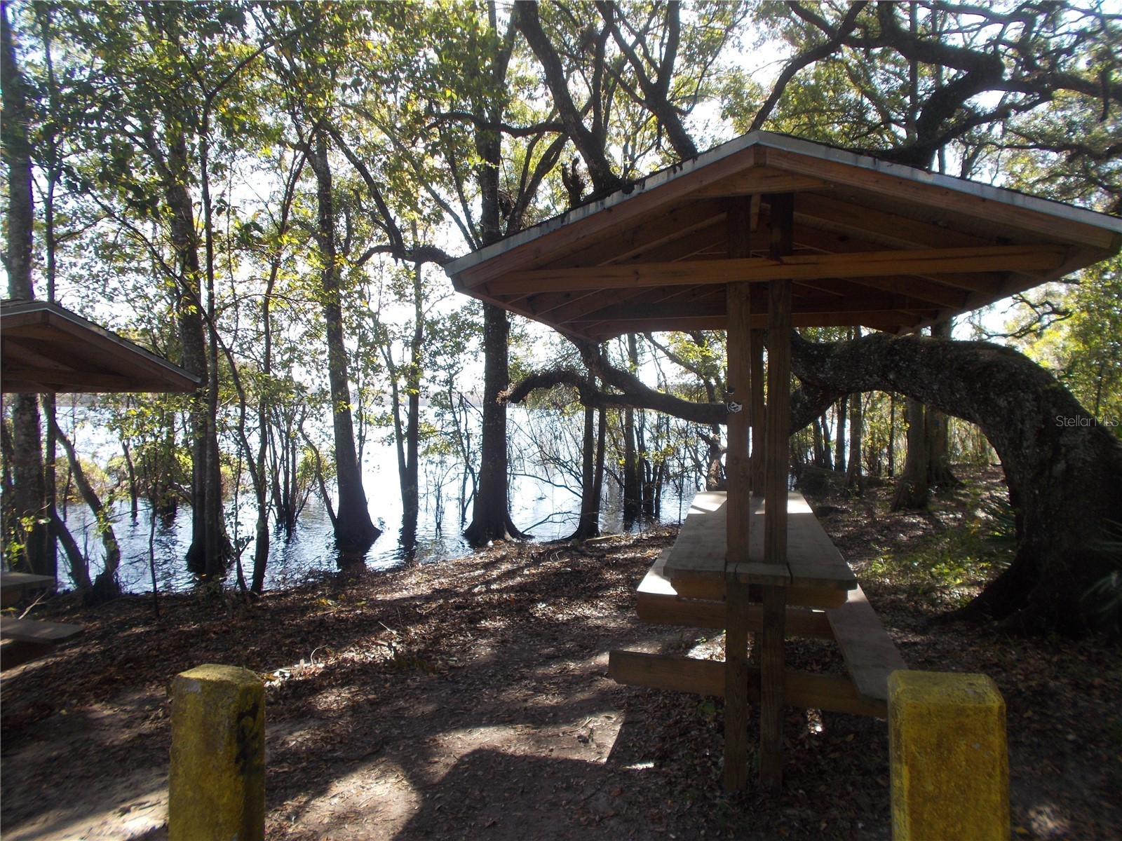 Knoxville Drive Webster FL 33597 W7885156 image12