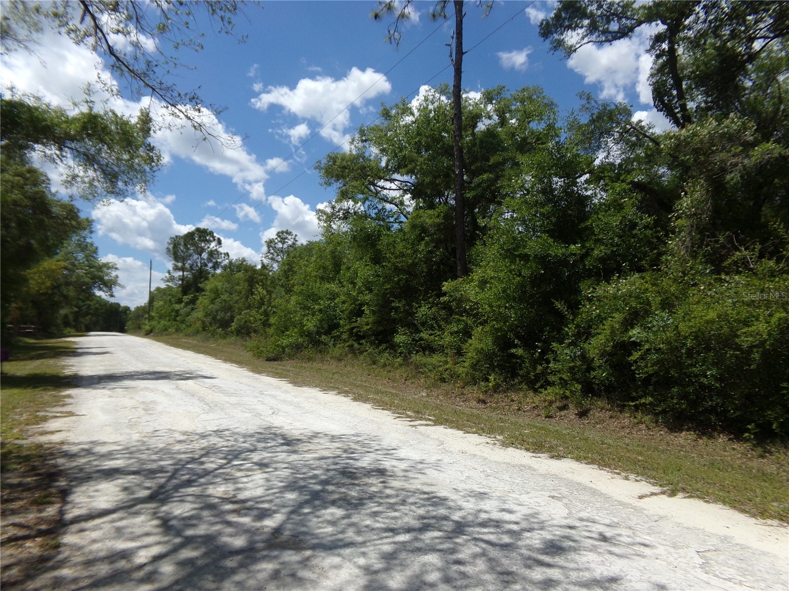 Knoxville Drive Webster FL 33597 W7885156 image3