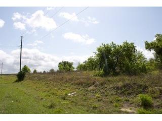 Kokomo Road NE Haines City FL 33844 O6215686 image3