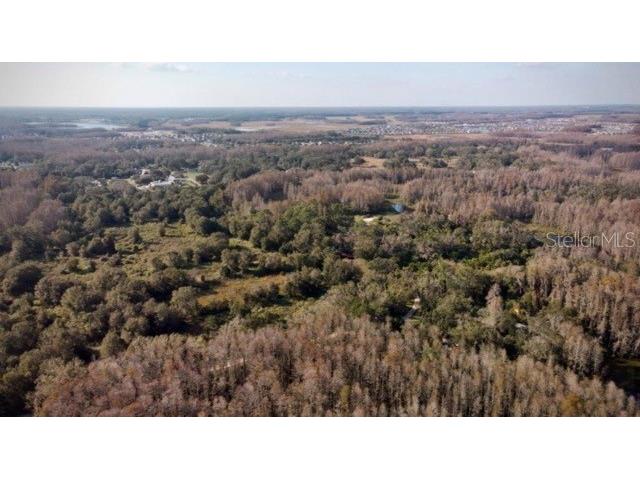 Kristen Lane Land O Lakes FL 34638 J960008 image1