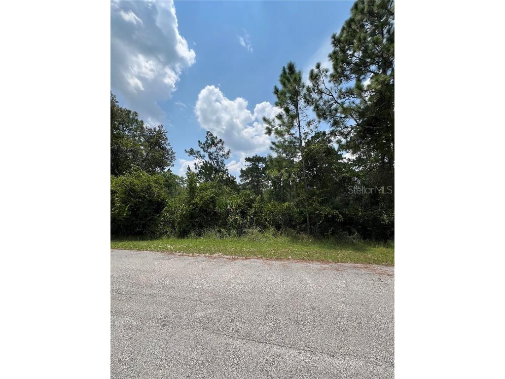 Kumquat Avenue Eustis FL 32736 - LAKE NORRIS O6231212 image1