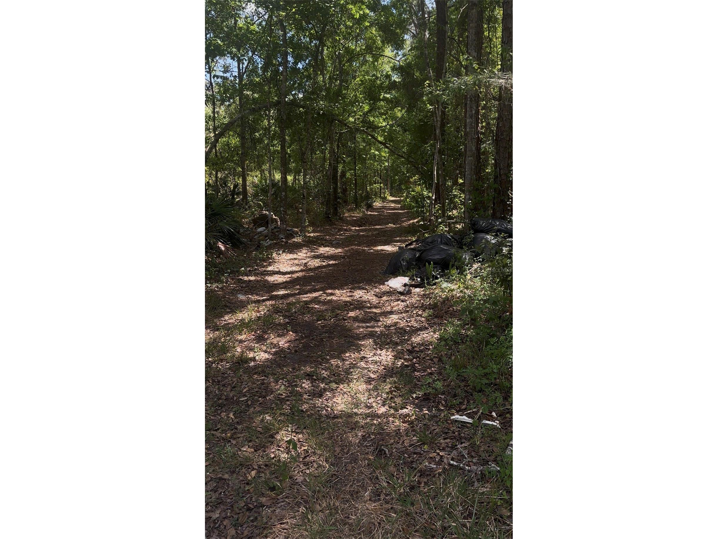 Kusan Street New Port Richey FL 34654 W7885184 image3