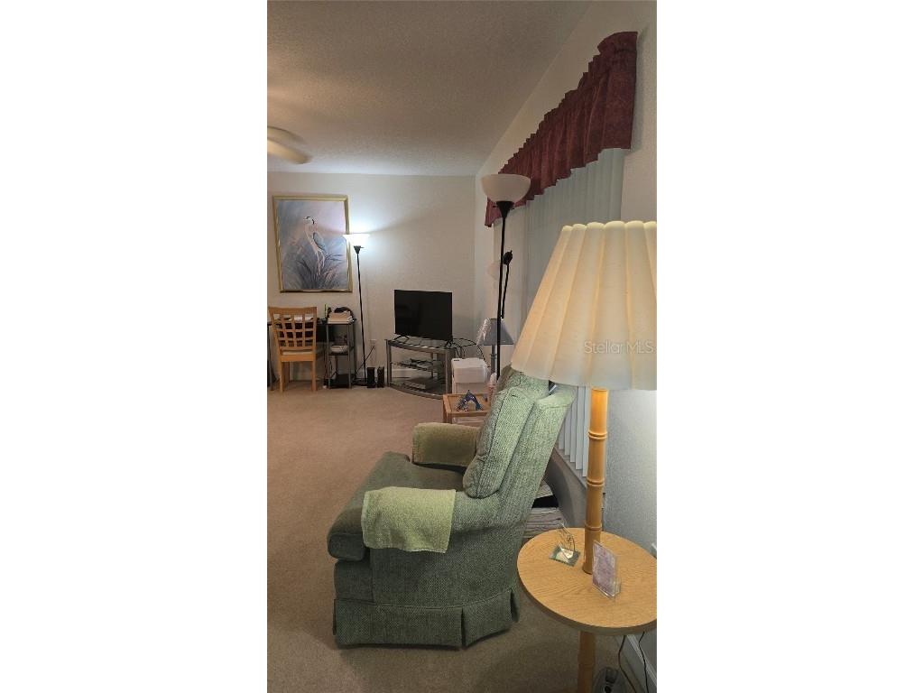  Kissimmee FL 34741 S5131766 image4