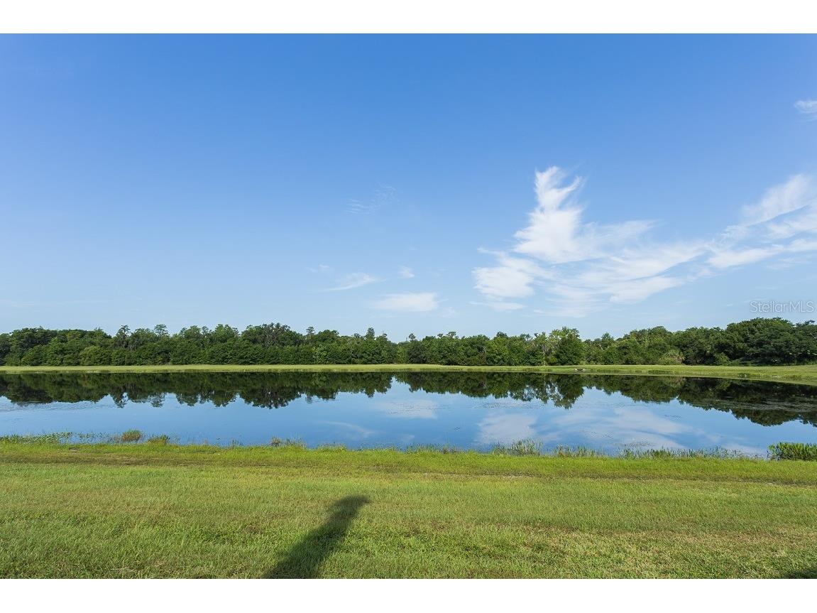  Kissimmee FL 34741 S5138492 image24