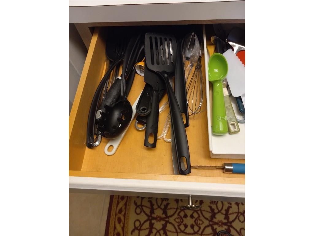 2027 Royal Bay Boulevard #77 Kissimmee FL 34746 O6266284 image16