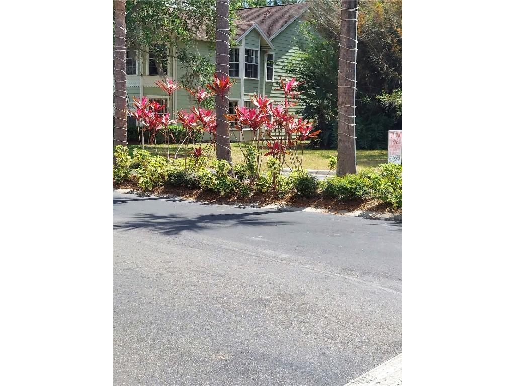 2027 Royal Bay Boulevard #77 Kissimmee FL 34746 O6266284 image24