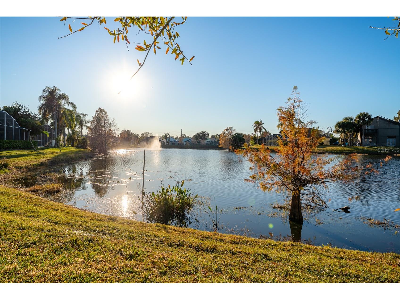  Kissimmee FL 34747 S5142279 image39