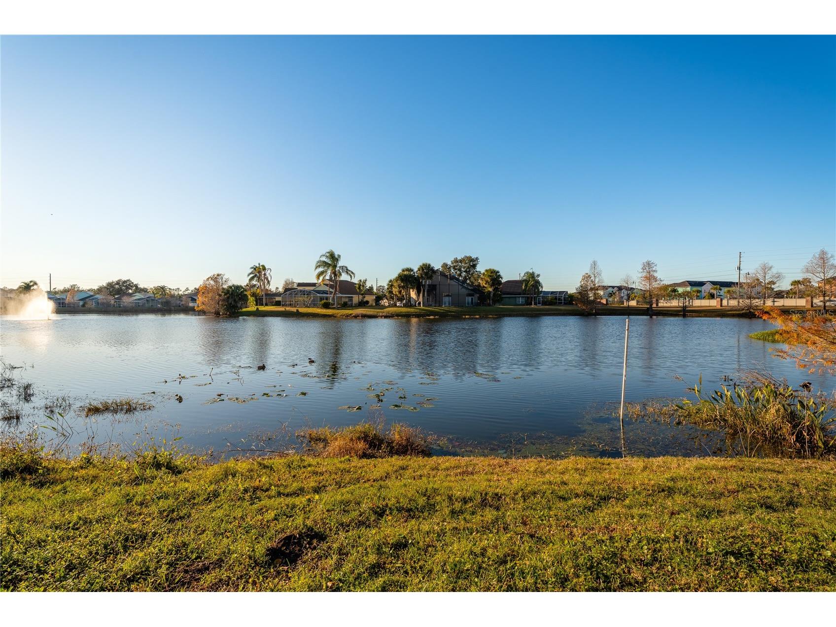  Kissimmee FL 34747 S5142279 image40