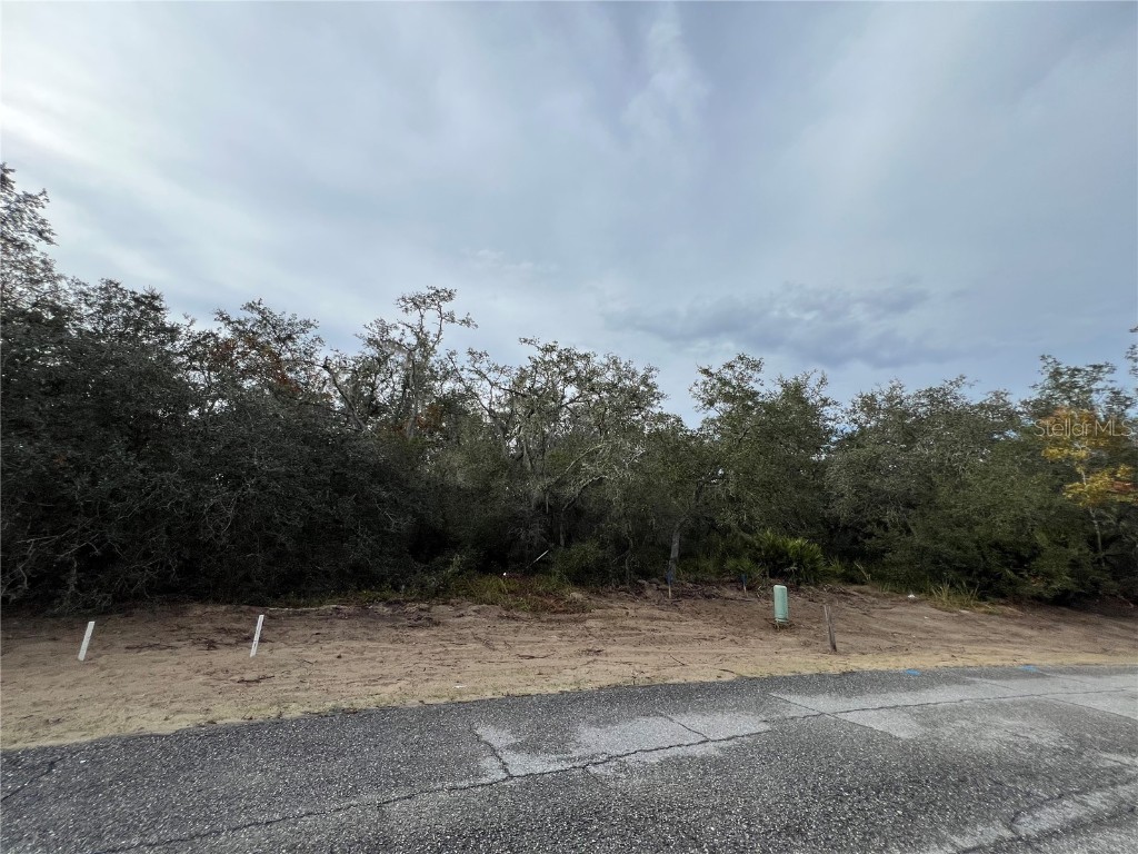 1633 Pickerel Court Kissimmee FL 34759 S5139452 image1