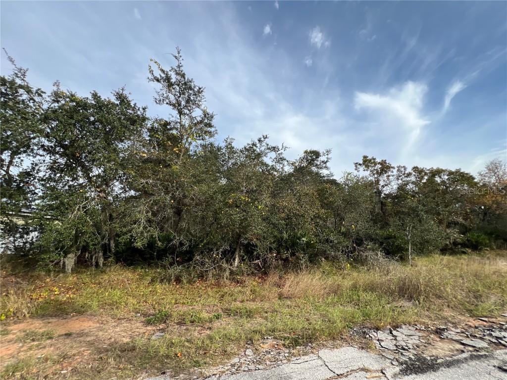 1205 Alafia Way Kissimmee FL 34759 S5139453 image1