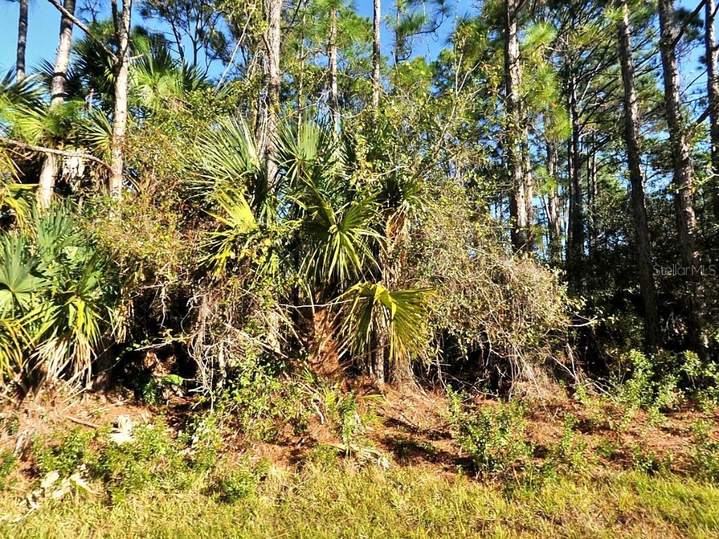 La Rosa Avenue North Port FL 34286 O6336255 image1