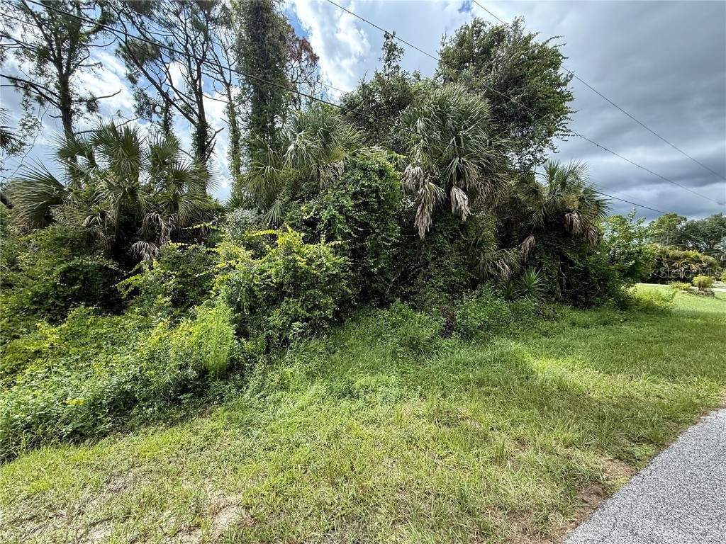 La Suiza St North Port FL 34288 C7513407 image1