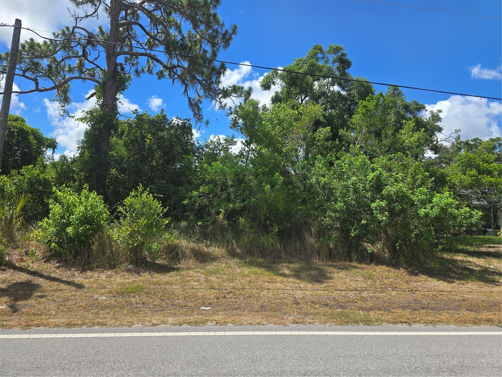 Lacey Drive New Port Richey FL 34654 TB8522383 image1