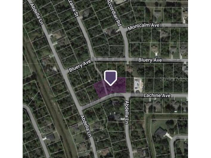 Lachine Avenue North Port FL 34291 C7480260 image1