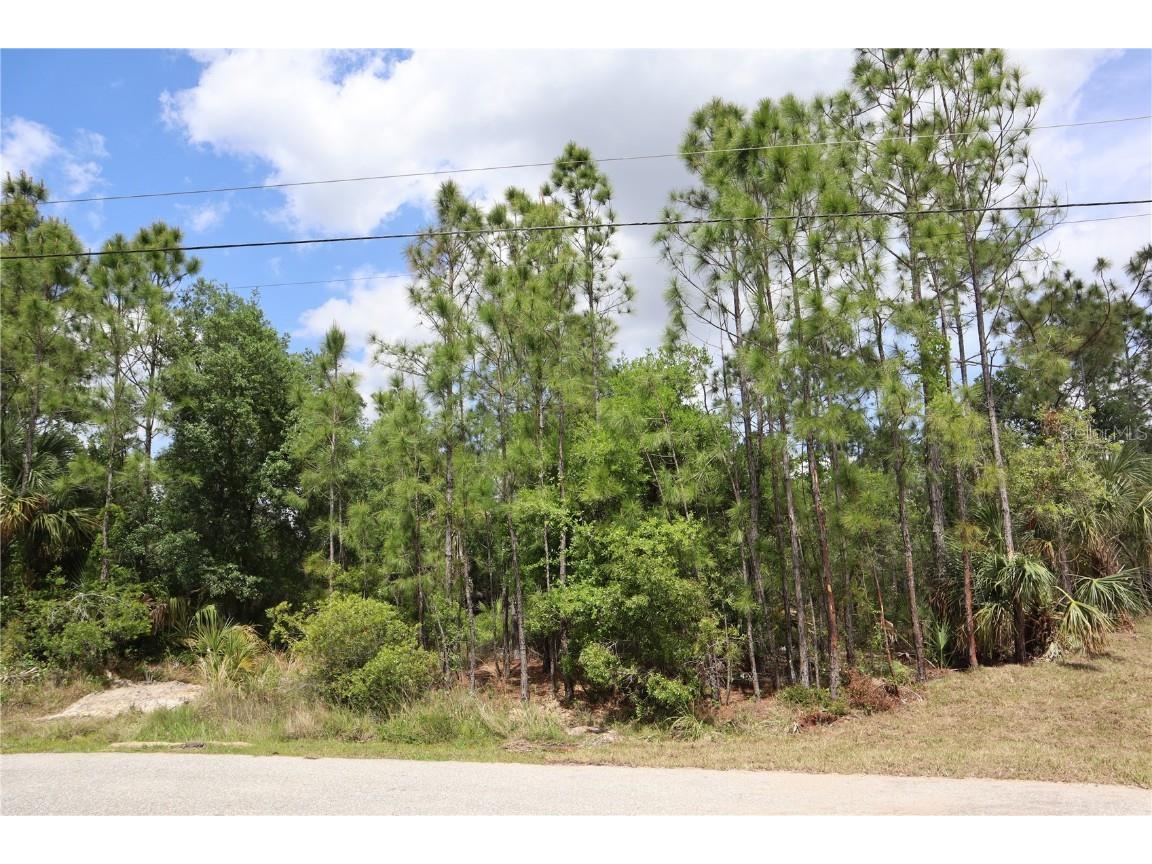 Lacoco Street North Port FL 34291 C7490260 image6