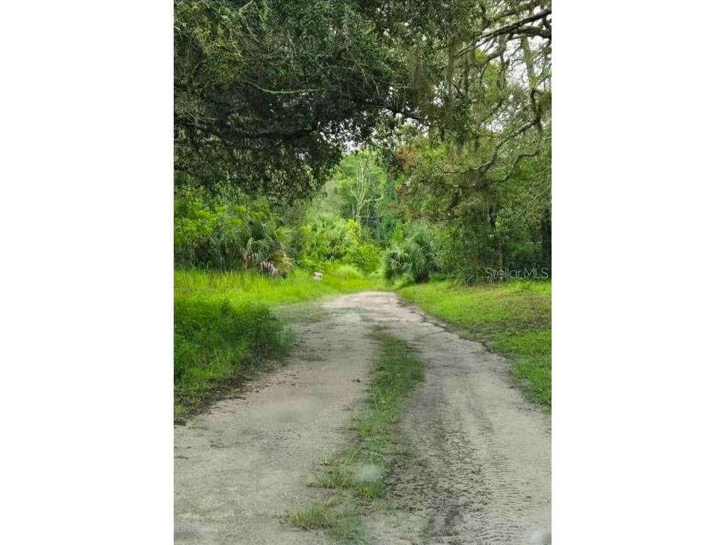 Ladd Avenue New Port Richey FL 34654 TB8444602 image1