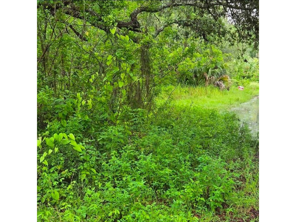 Ladd Avenue New Port Richey FL 34654 TB8444602 image2