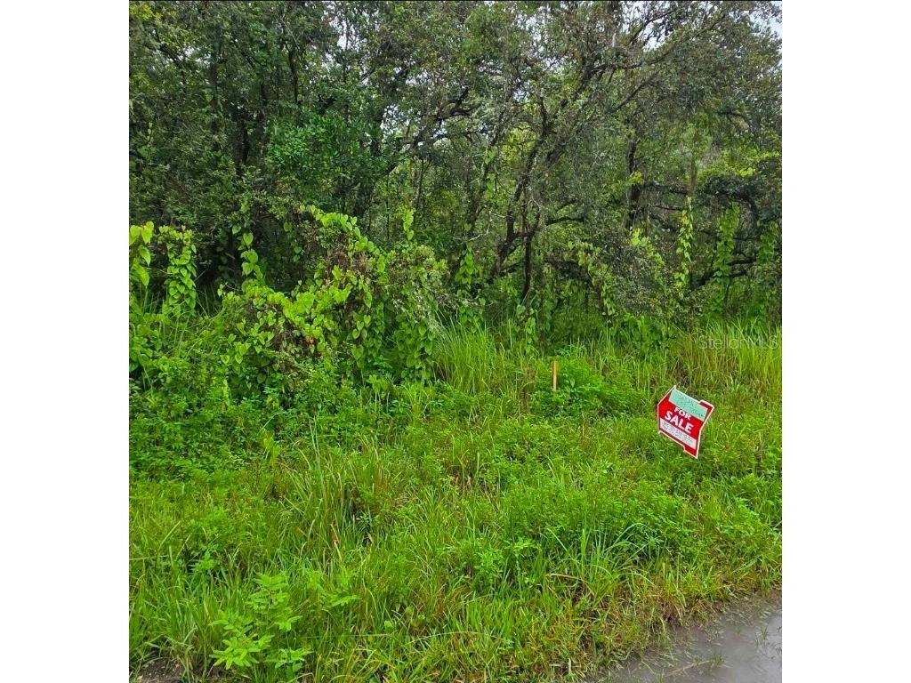 Ladd Avenue New Port Richey FL 34654 TB8444602 image3